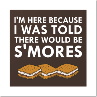 I Was Told There Would Be S'Mores Camping Posters and Art